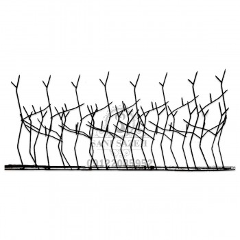 شاخ گوزنی مدل آپارتمانی شاخ گوزنی مدل آپارتمانی